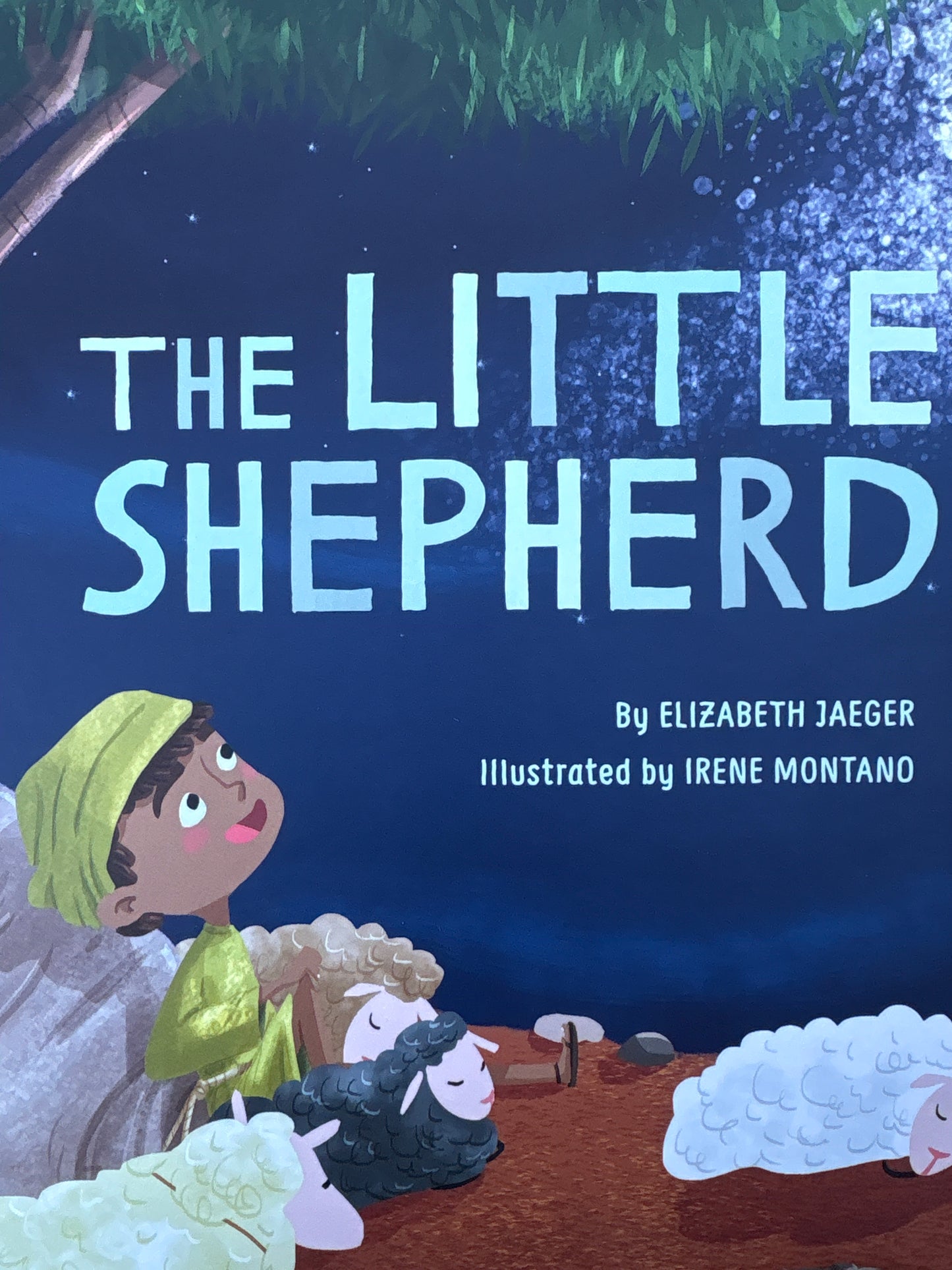 The Little Shepherd