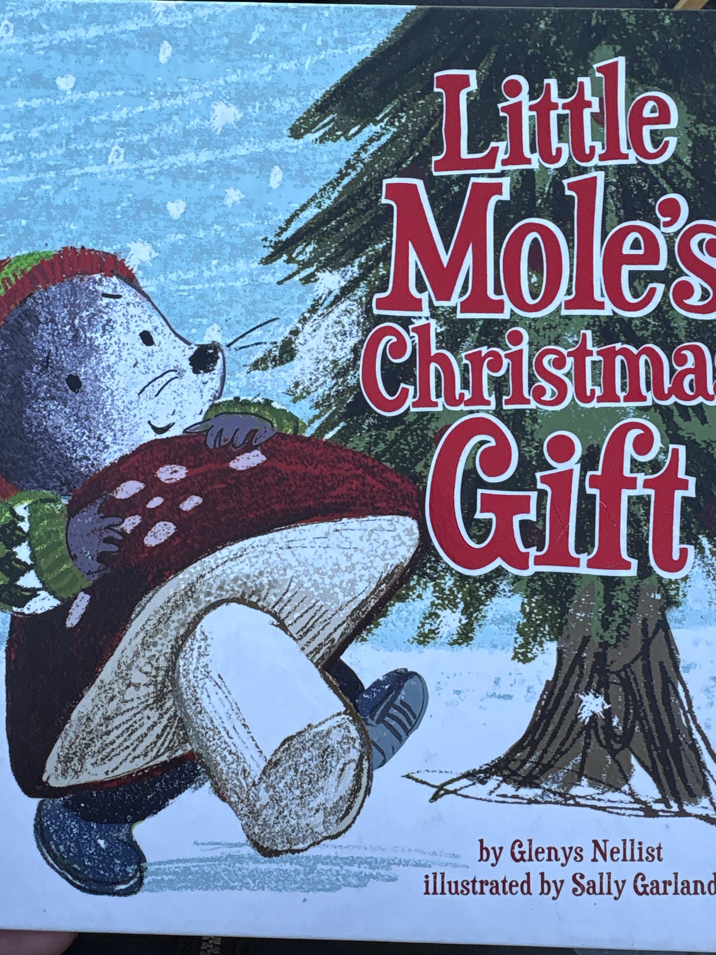 Little Mole’s Christmas Gift