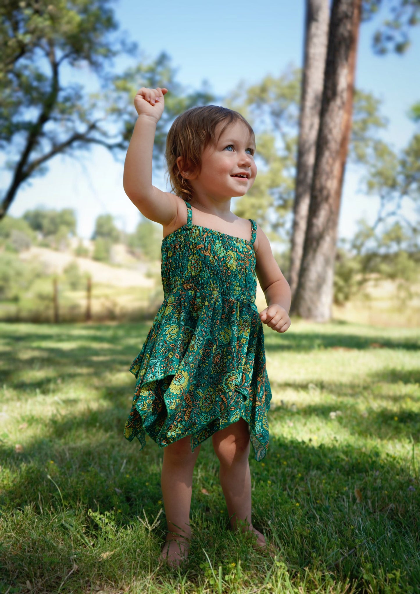 The Fairy Dress