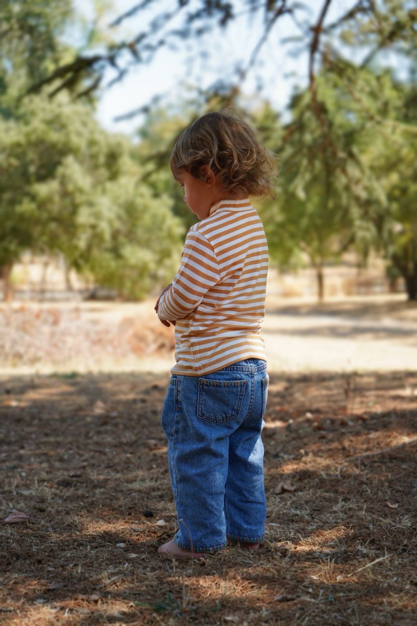 The Honey Stripe Top