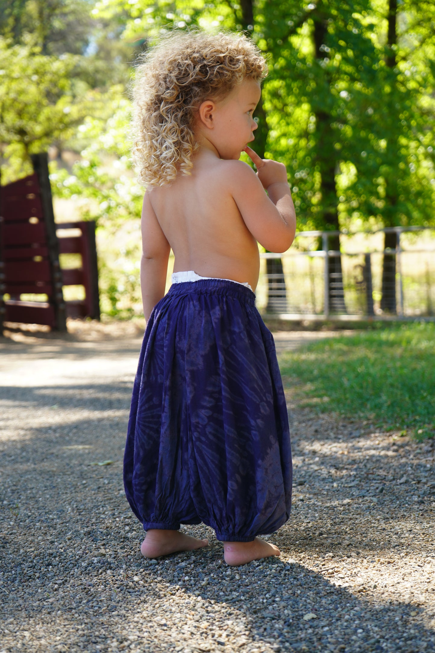 The Wander Pants