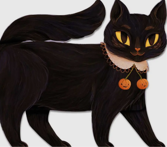 One Black Cat Book